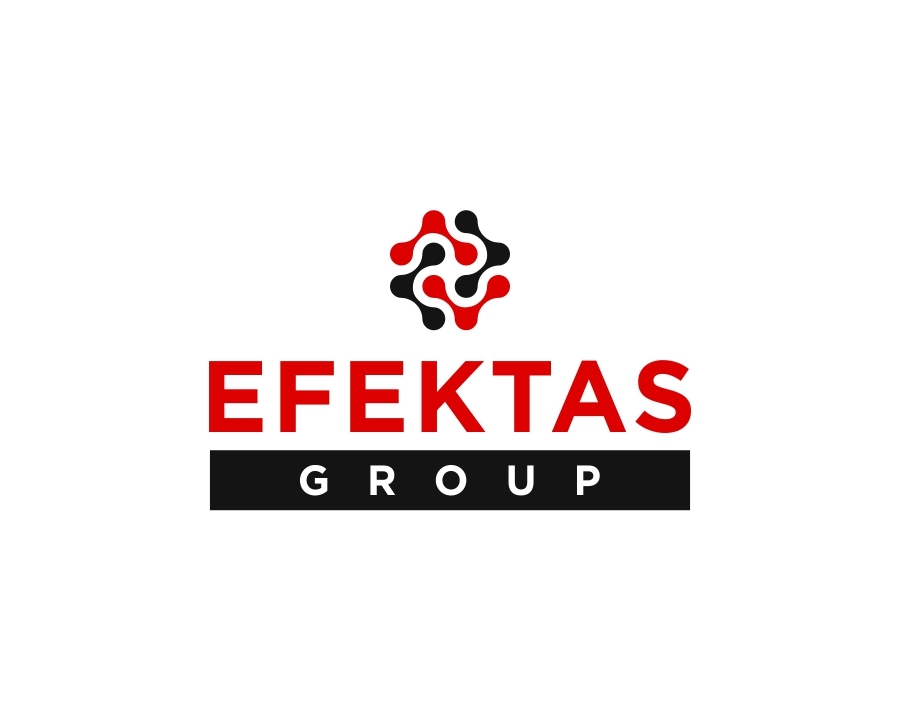 Prakse kompānijā Efektas Group 