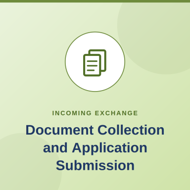 Document Collection and Application Submission
