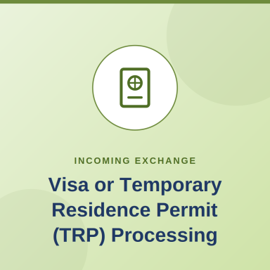 Visa or Temporary Residence Permit Processing